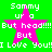 Green background with four identical pink stars, each containing white text reading "Sammy up a But head!!! But I Love You!" in pixelated font.