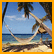 Pixelated tropical beach scene with palm trees, hammock, ocean, and sandy shore within a yellow border.
