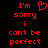 Red pixelated text on black background reads "I'm sorry i cant be perfect" with a heart symbol replacing the 'o' in 'sorry' in the left view.