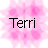Static pixel art icon with black text 'Terri' centered over a pink floral background of soft, blurred petals.