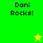 Green and yellow pixelated with "Dani Rocks!" text in black, featuring a yellow star on green background and green star on yellow background