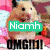 A hamster with light brown fur and black eyes appears in four , each displaying different text overlays on a pink patterned background