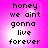 Pixelated text on a pink gradient background with four identical showing the phrase 'honey we ain't gonna live forever' in black block letters