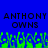 Blue background with pixelated text reading 'ANTHONY ANTHONY OWNS OWNS' and green pixelated shapes at the bottom.