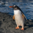 Pixelated image of a penguin standing on dark ground with blue water background, orange beak and feet, black and white body with brown accents.