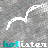 A static image shows a repeating pattern of white curved shapes on a gray textured background with cyan text reading 'hollister' in three
