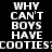 Pixelated text with 'WHY CAN'T BOYS HAVE COOTIES?' repeated across three , each featuring a different word highlighted in cyan