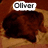 A four- shows a brown dog-like character with text overlays changing