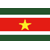 Static pixelated icon depicting horizontal stripes with a central yellow star on red background, bordered by white and green bands.