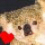 Animated koala face with red heart on left, pink heart on right; brown eyes and nose, light fur against dark background.