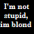 Pixelated text on black background reads "I'm not stupid, i'm blind" with multicolored blocky letters.