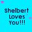 Blue background with repeated text 'Shelbert Loves You!!!' in black, surrounded by pink and light blue stars.