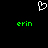 A black background displays a white pixelated heart symbol above two green 'erin' text instances.