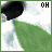 Animated sequence of green leaf-shaped icons with changing text overlays and small checkmark animations on a white background.