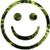 A pixelated circular face with two round eyes and a curved mouth on a white background, rendered in green and black tones.