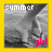 Six display a grayscale image of a person's lower legs and feet in motion, each bordered by a solid color frame with 'summer' and 'girl' text