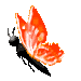 Four pixelated views of a black insect-like creature with orange translucent wings against a gray background.