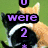 Animated sequence showing a raccoon-like character with changing text overlays and star symbols across six