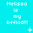 Pixelated cyan background with white text reading "Melissa is my bfflad!!!" repeated across three , each containing three identical text blocks