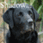 A pixelated black dog with floppy ears and a white muzzle appears in two side-by-side frames, the right frame showing partial text overlay.