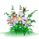 Animated sequence of pink flowers with yellow centers and green foliage, showing butterflies in various positions across frames.