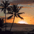 Silhouetted palm trees against a sunset sky with orange and yellow gradients over a darkened horizon.