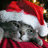 A static image with a red background, featuring a pixelated cat wearing a Santa hat and text reading "Anyone can be a jolly fellow. All you have to do is... BELIEVE." in yellow block letters.