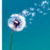A dandelion with white seeds dispersing against a teal background, shown in three with varying seed positions