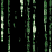 Green digital rain cascades vertically on black background with gray rectangular overlay at bottom right.