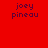Four colored display 'joey pineau' text in dark brown pixelated font against red, purple, blue, and magenta backgrounds