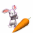 Animated contact sheet of a cartoon rabbit with pink ears holding or interacting with orange carrots and small pink hearts across eight frames.