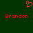 Red pixelated heart symbol above two instances of the name Brandon in red text on a dark green background.