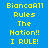 Pixelated text on four colored quadrants: blue, purple, pink, and purple, with yellow text reading "BiancaAll Rules The Nation!! I RULE!".