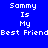 Four quadrants display 'Sammy Is My Best Friend' text in white pixelated font on blue, purple, red, and purple backgrounds.