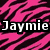 Four quadrants of zebra-stripe patterns in pink, purple, yellow, and green with "Jaymie Jaymie" text overlaid on each quadrant.