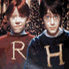 Two boys in Hogwarts uniforms with 'R' and 'H' emblems stand side-by-side, followed by a boy in a Slytherin uniform with text about not wanting to see where he shoves his wand.