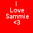 Four pixelated display "I Love Sammie <3" text with varying background colors and font styles