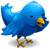Blue bird with yellow beak and brown legs standing on a white background.