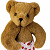 A pixelated teddy bear icon with a green text logo on the right side, displayed as a contact sheet of two frames.