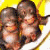 Three monkeys sit on a yellow and white curved surface with pink text reading 'monkeys are awesome' against black background.