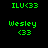 Green pixelated text on black background: 'ILU<33' at top, 'Wesley <33' below with '<33' centered under 'Wesley'.