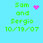 Green text on cyan background reads 'Sam and Sergio 10/19/07' with pink pixelated symbols replacing the heart in one frame.