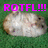 A pixelated image of a small animal lying on its back with pink text above it reading "ROTFL!!!" against a green background.
