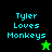 Pixelated text 'Tyler Loves Monkeys' in cyan on black and green backgrounds with a green star and black star icon.