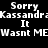 Pixelated text displays 'Sorry Kassandra It Wasnt ME' with blue highlight changes across multiple repeated lines on a black background.