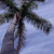 A pixelated image shows a hand gripping a dark vertical object against a light blue background with blurred green foliage.