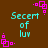Brown background with cyan text "Secert of luv" and pink square patterns in corners.