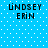Blue background with white dots and four identical text blocks reading 'LINDSEY ERIN' in black pixelated font.