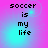 Pixelated text "soccer is my life" on a gradient background with cyan and magenta hues, displayed in four identical quadrants.