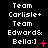 Pixelated text displays "Team Carlisle+ Team Edwards& Bella:]" with pink symbols on black background, showing animation changes across observations.